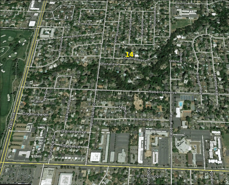 14-Thornwood