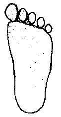 Crewoutline Crewoutline