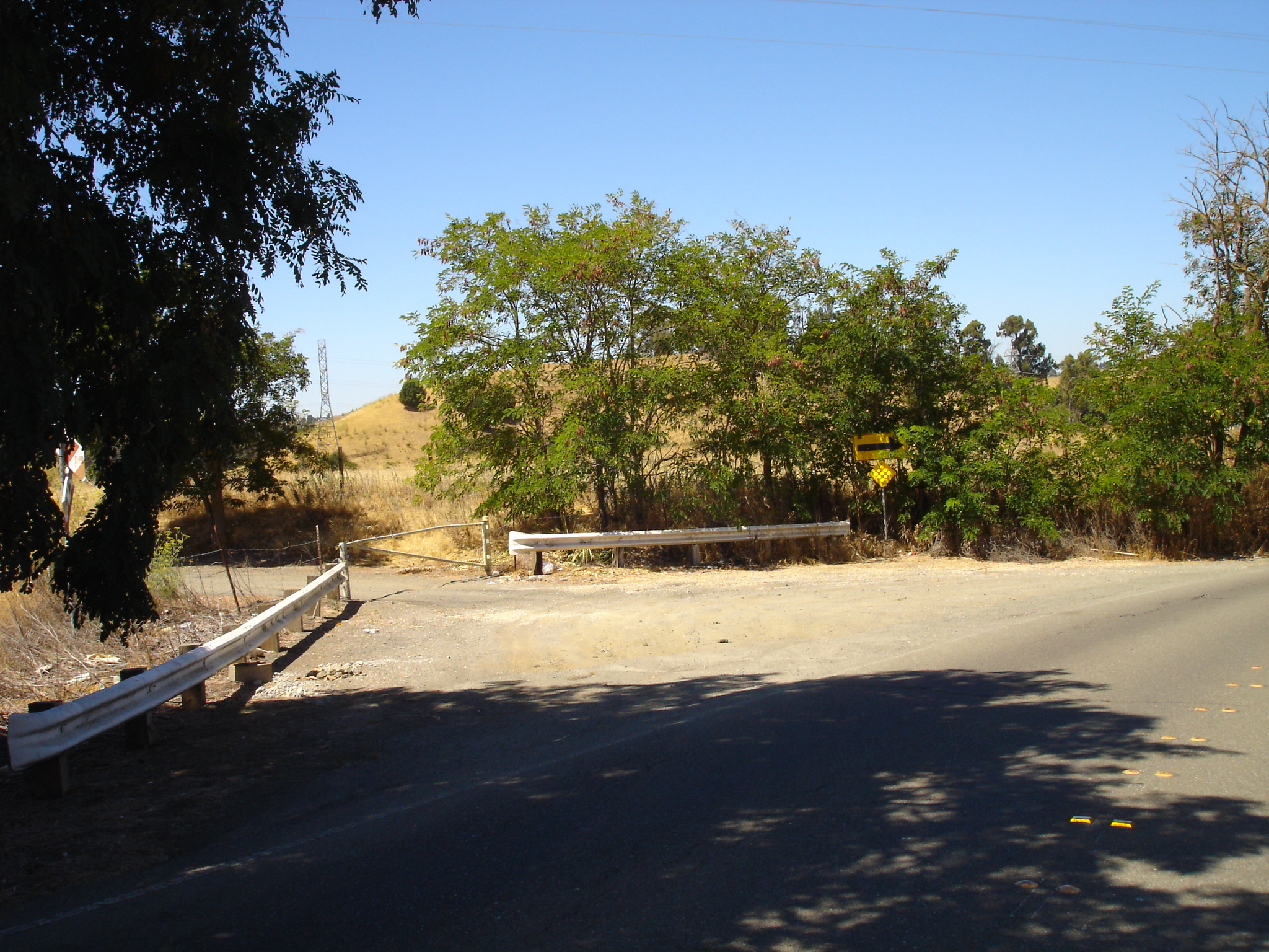 DSC00627
