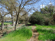 DSC01962-50%-icon