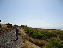 DSC02054-50%-icon
