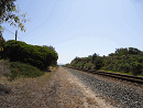 DSC02062-50%-icon