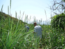 DSC02092-50%-icon