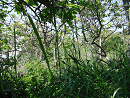 DSC02094-50%-icon