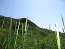 DSC02096-50%-icon