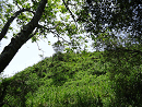 DSC02157-50%-icon