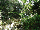 DSC02189-50%-icon