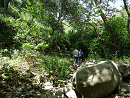 DSC02190-50%-icon