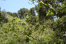DSC04432-50%-icon