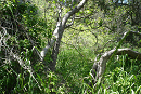 DSC04442-50%-icon