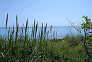 DSC04468-50%-icon