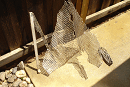 DSC04508-50%-icon