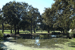 DSC05273-icon