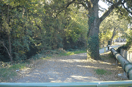DSC05388-50%-icon