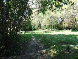 DSC05389-50%-icon