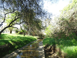 DSC05393-50%-icon