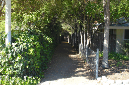 DSC05394-50%-icon