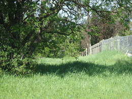 DSC05494-50%-icon