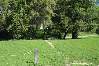 DSC06083-50%-icon