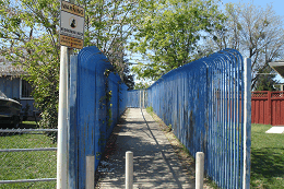 DSC06160-icon