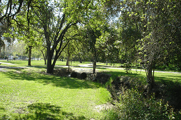 DSC06233-icon