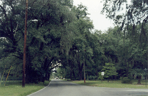 Folkston4icon