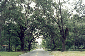Folkston5icon