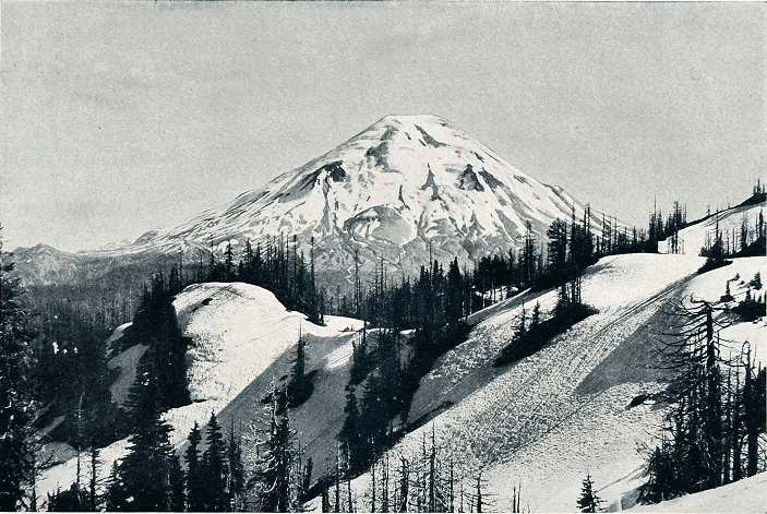Helens-old