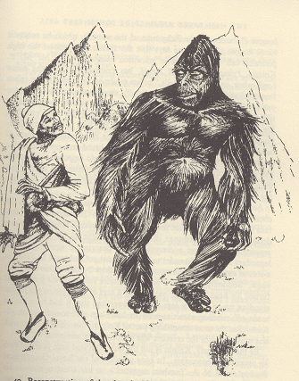 HeuvelmansYeti2 HeuvelmansYeti2
