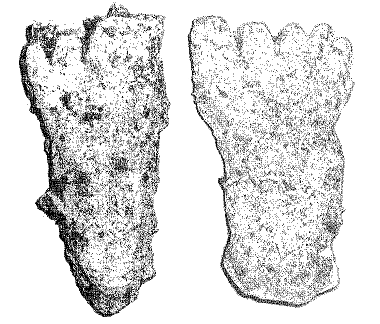 Manitoba88pair