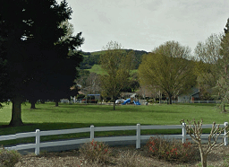 Mustang-park-Delta-icon