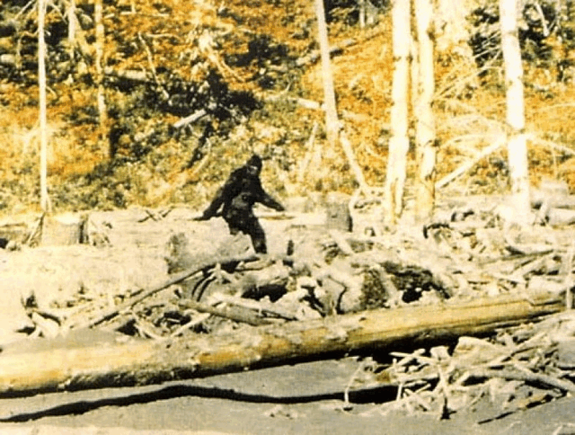 PF-Bigfoot PF-Bigfoot