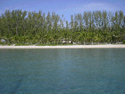Peanutisland