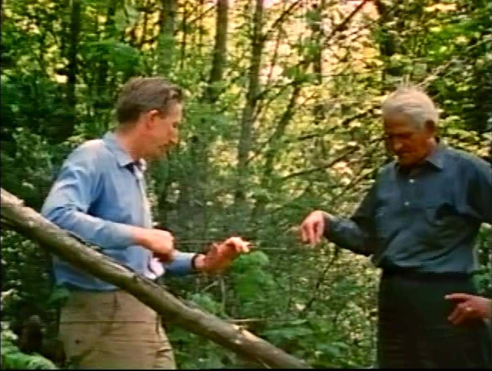 Ruby Creek-1971