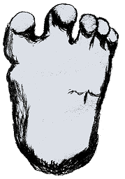 Shiptonfootillustration24
