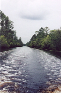Suwanee4