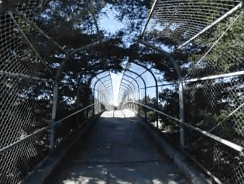 Video1-Casilada