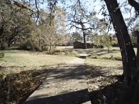 Video2-DCP