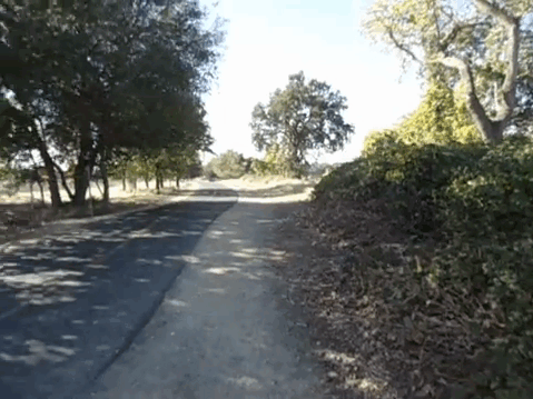 Video2-Rossmoor