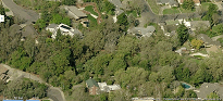 Wooded glen-icon