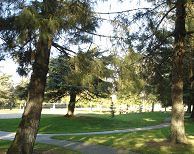 DSC05545-icon