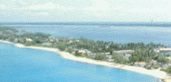 arielbimini202