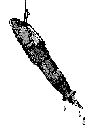 zodiacpen