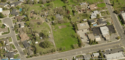 crime-scene-aerial-icon