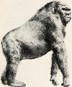 giganto giganto