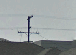 original pole-icon