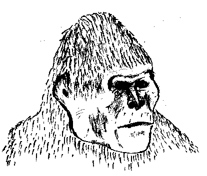 popconceptBigfoot2 popconceptBigfoot2